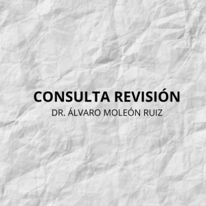 CONSULTA REVISIÓN